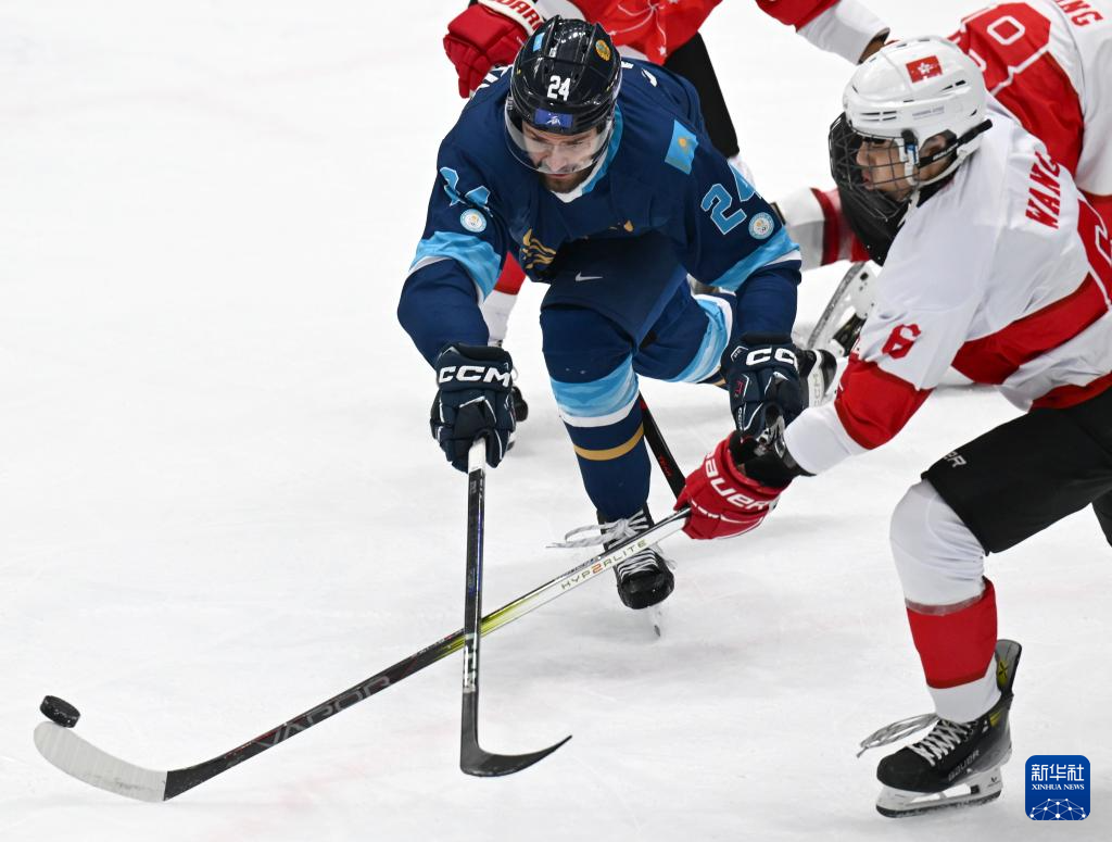 冰球再创历史，冠军实至名归的简单介绍