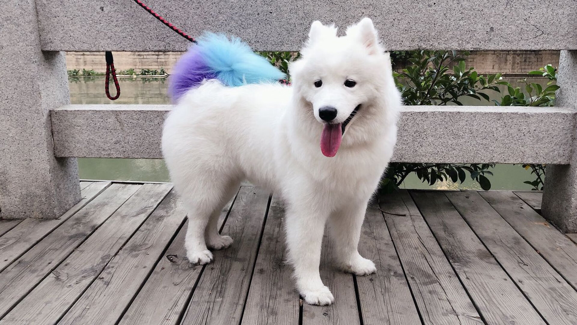 格局裂变，ATP总决赛如何重塑网坛生态，鲁德成为关键先生