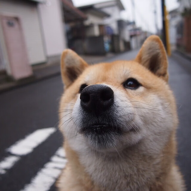 尼日利亚飞翼斩落皇马，比利亚雷亚尔一役让国家德比沦为荣誉之战