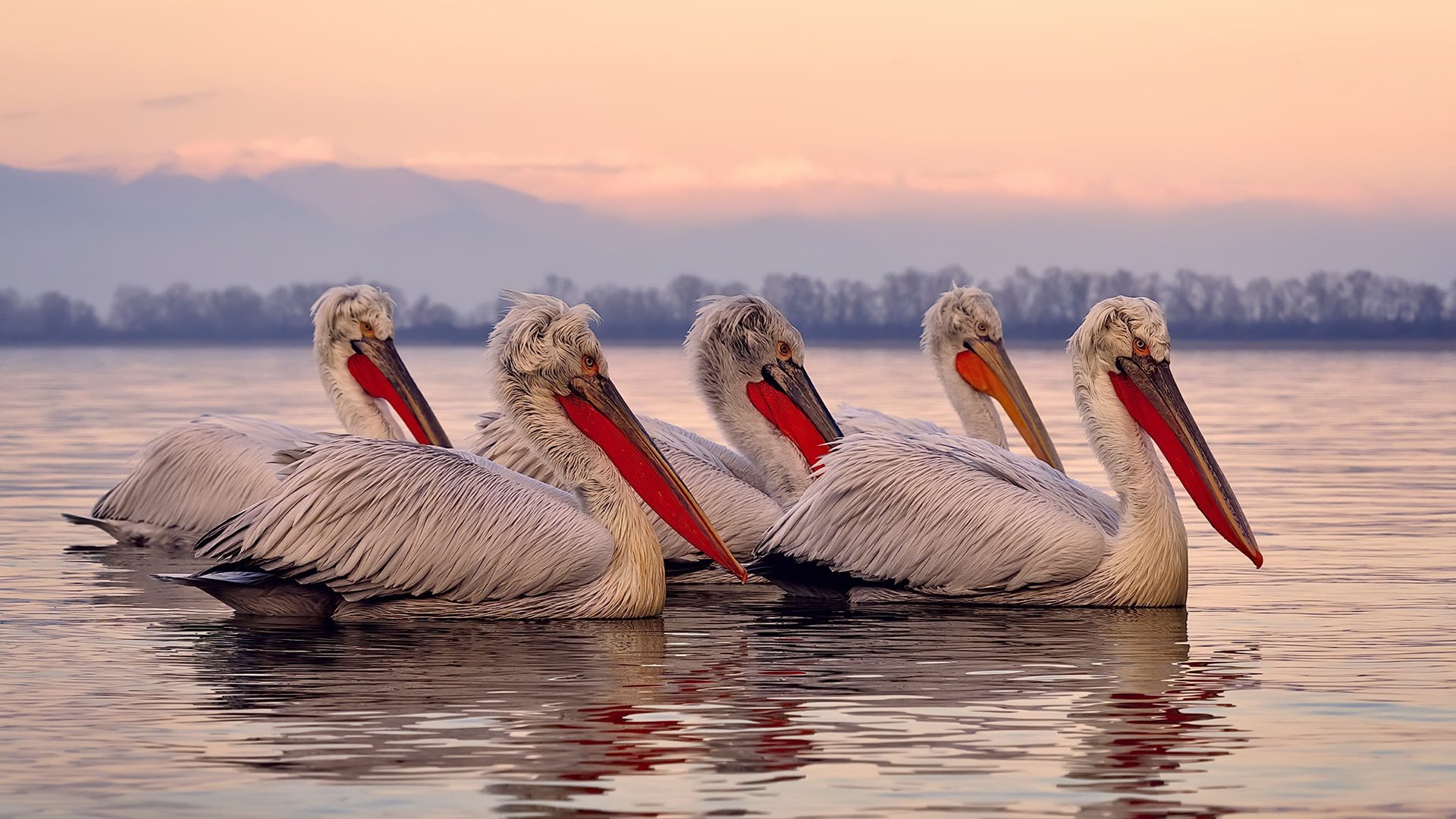 爱游戏在线-冰与火之歌，哈登的致命冷静与国王队的极限突围