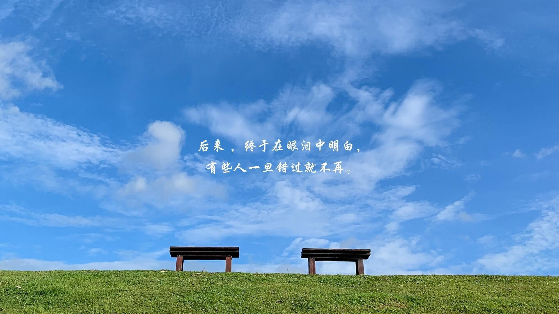 霍勒迪单手撕裂天幕，灰熊用防守密钥锁定胜局