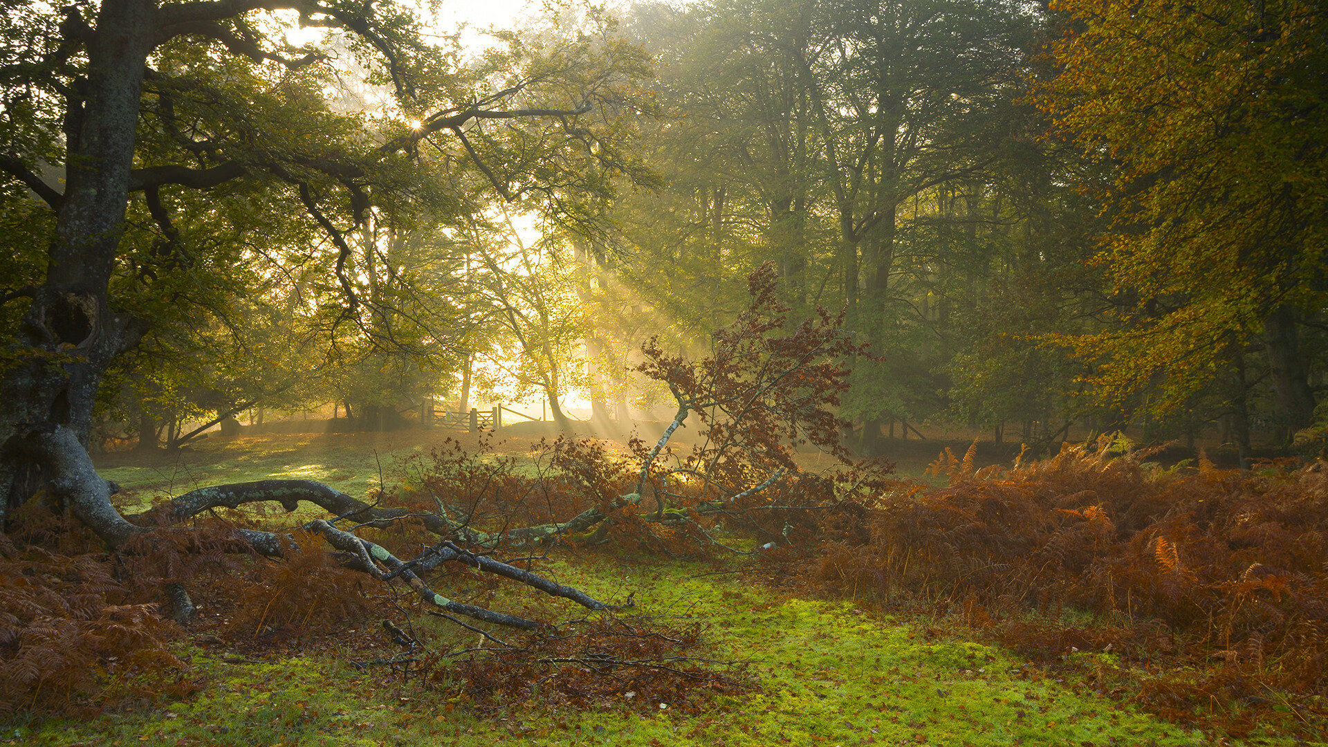 爱游戏官方-年度焦点之战，独行侠狂飙突进，篮网溃败中的星光黯淡