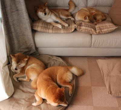 唯一性，当开拓者的红黑风暴席卷汽车城—锡安2077抢七夜铸造新传说