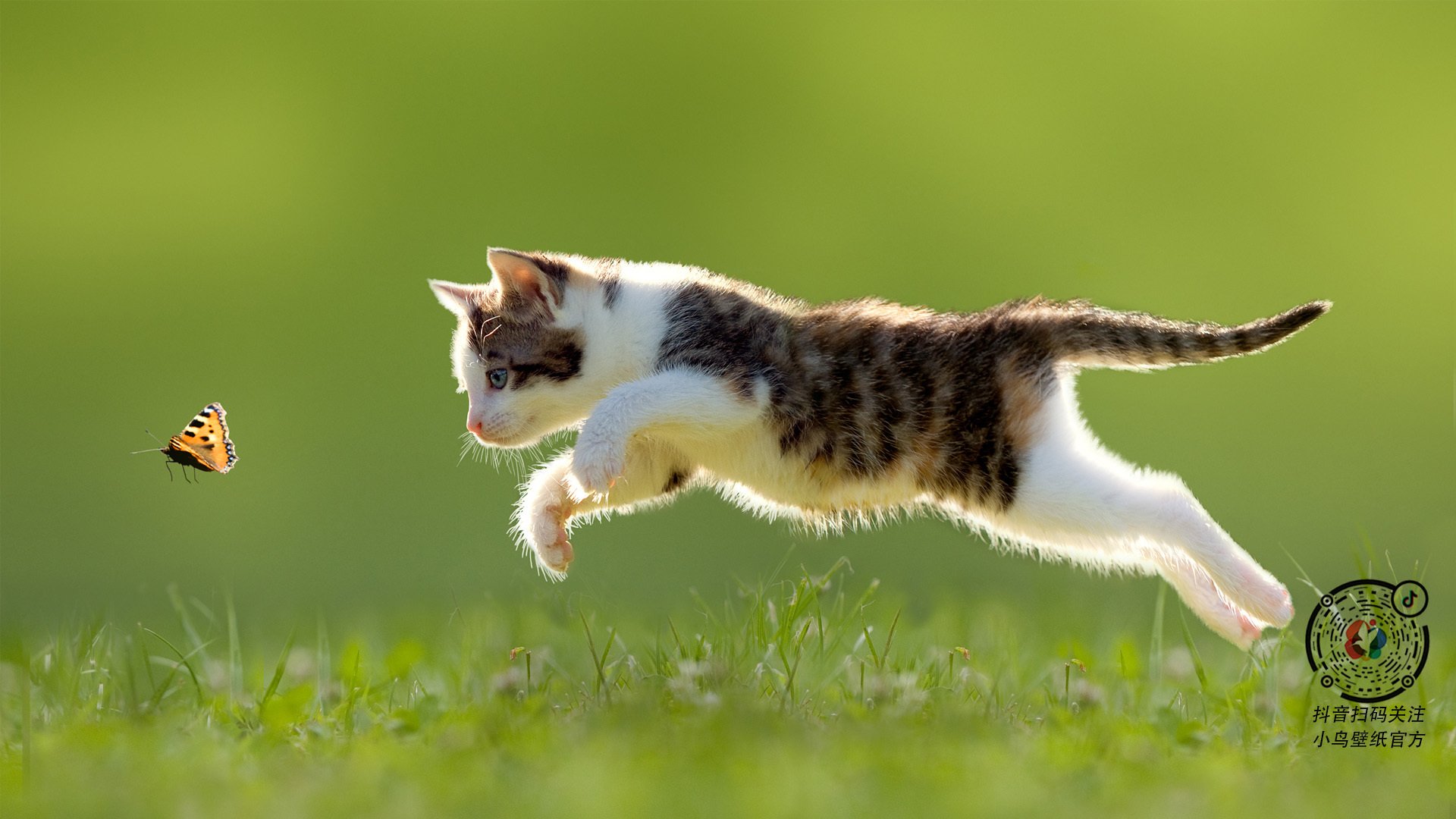 爱游戏大厅-当蓝月轻触洪都拉斯的雨夜，关键先生从不佩戴预定的王冠