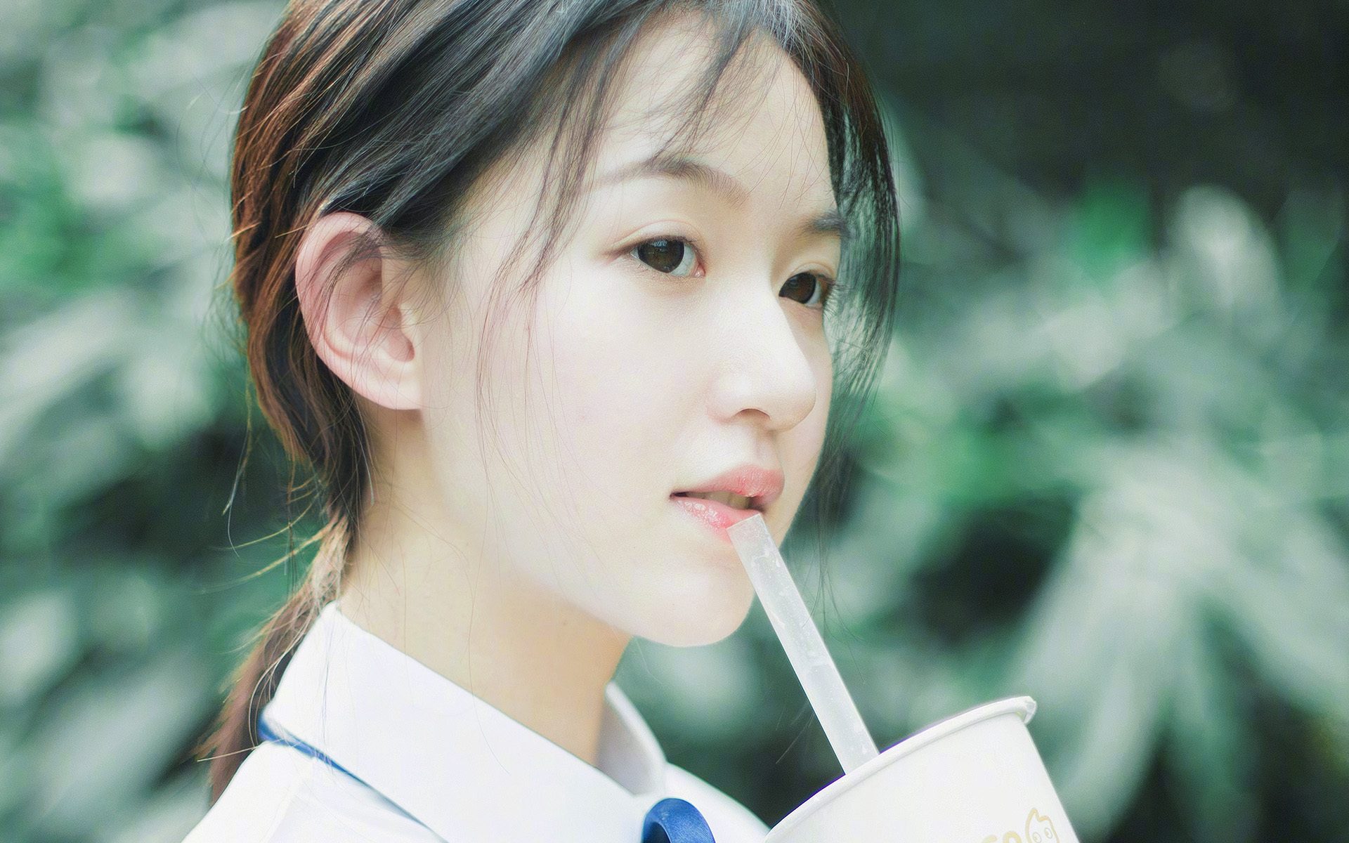 巴格达之夜,当沙漠铁骑在威斯特法伦写下天方夜谭