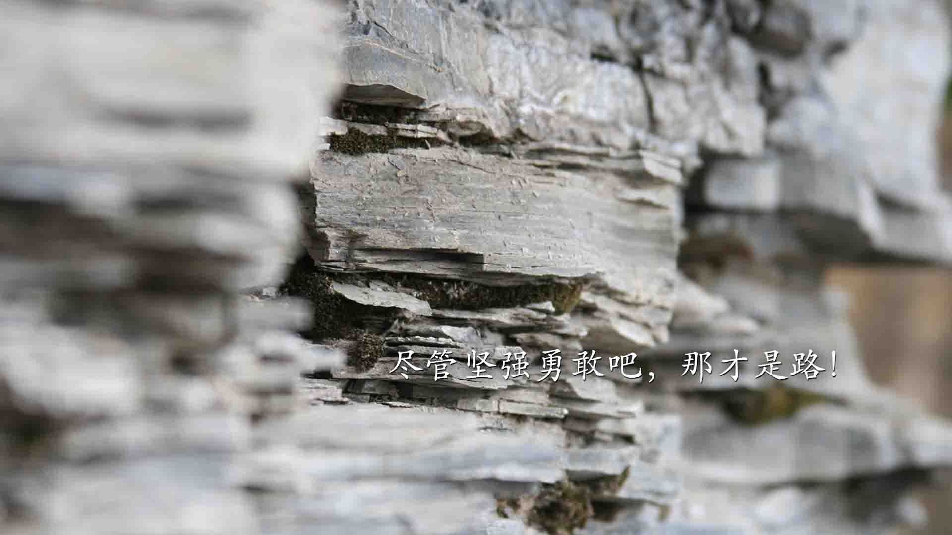 爱游戏在线-棋局与火种，奥运周期关键战，上海生死局击溃浙江