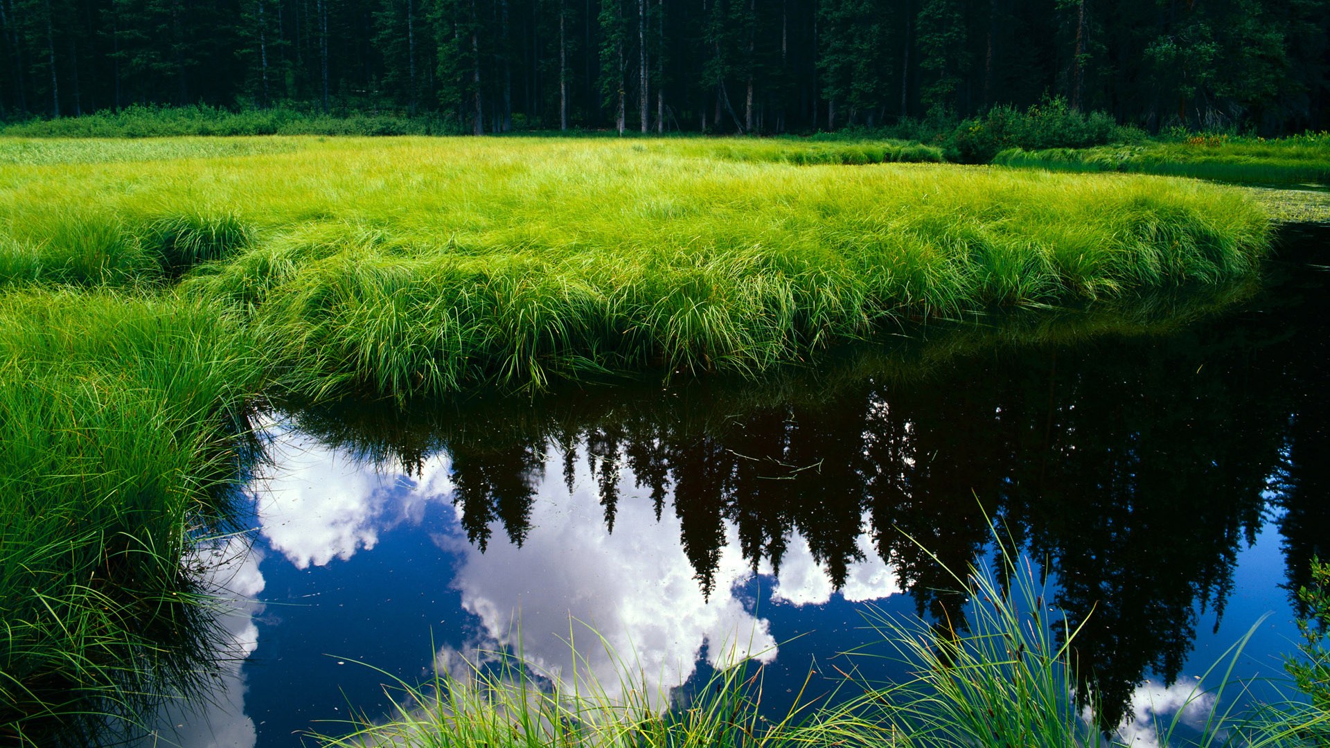 爱游戏入口-范弗利特导演巴克莱中心交响乐，篮网用团队智慧轻取开拓者