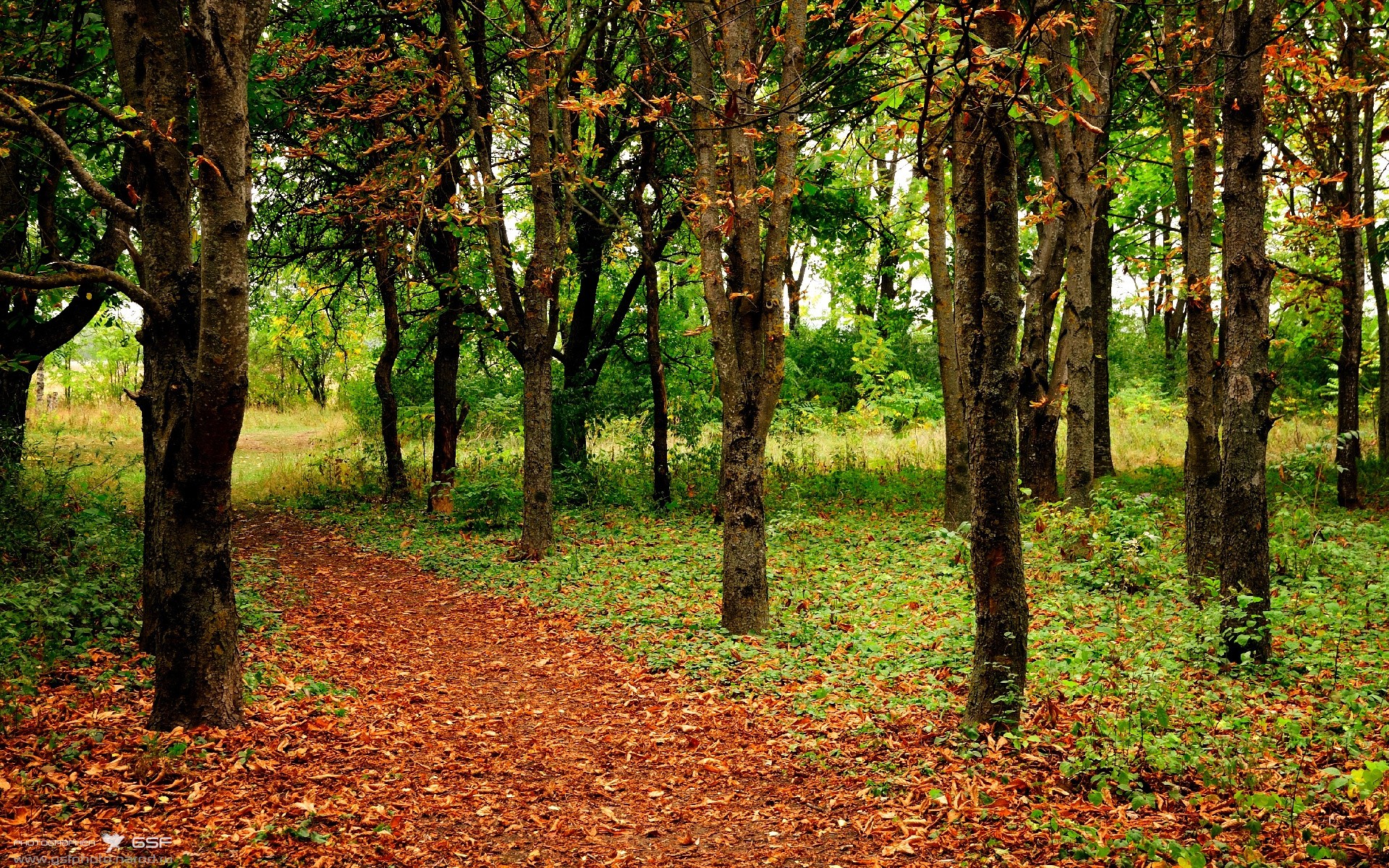 终局新章,当未来站上铁王座—记一场跨越次元的NBA终极之战
