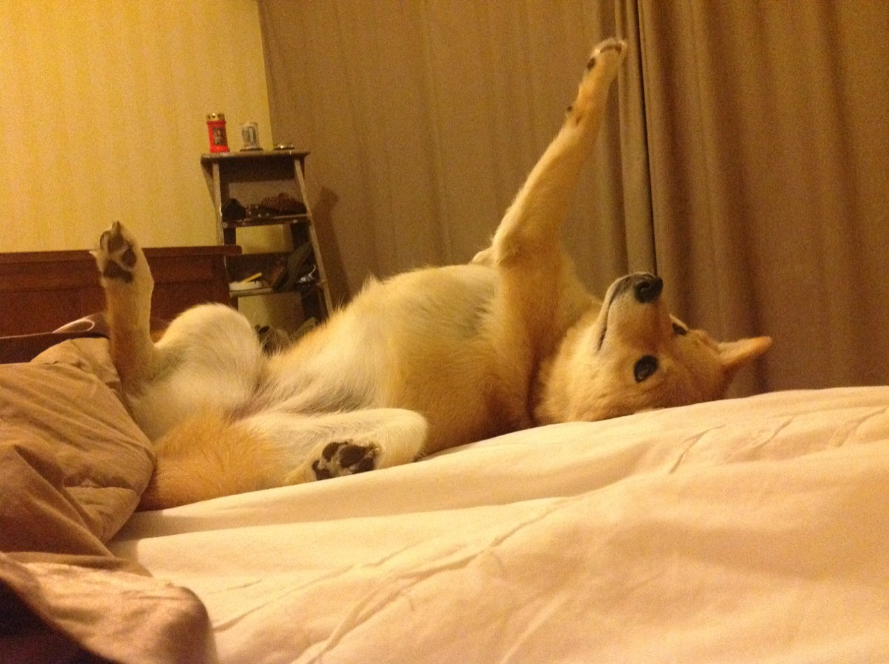 爱游戏-帝国落日，暗影刺客，利拉德用一记穿越时空的绝杀，宣判旧秩序死刑