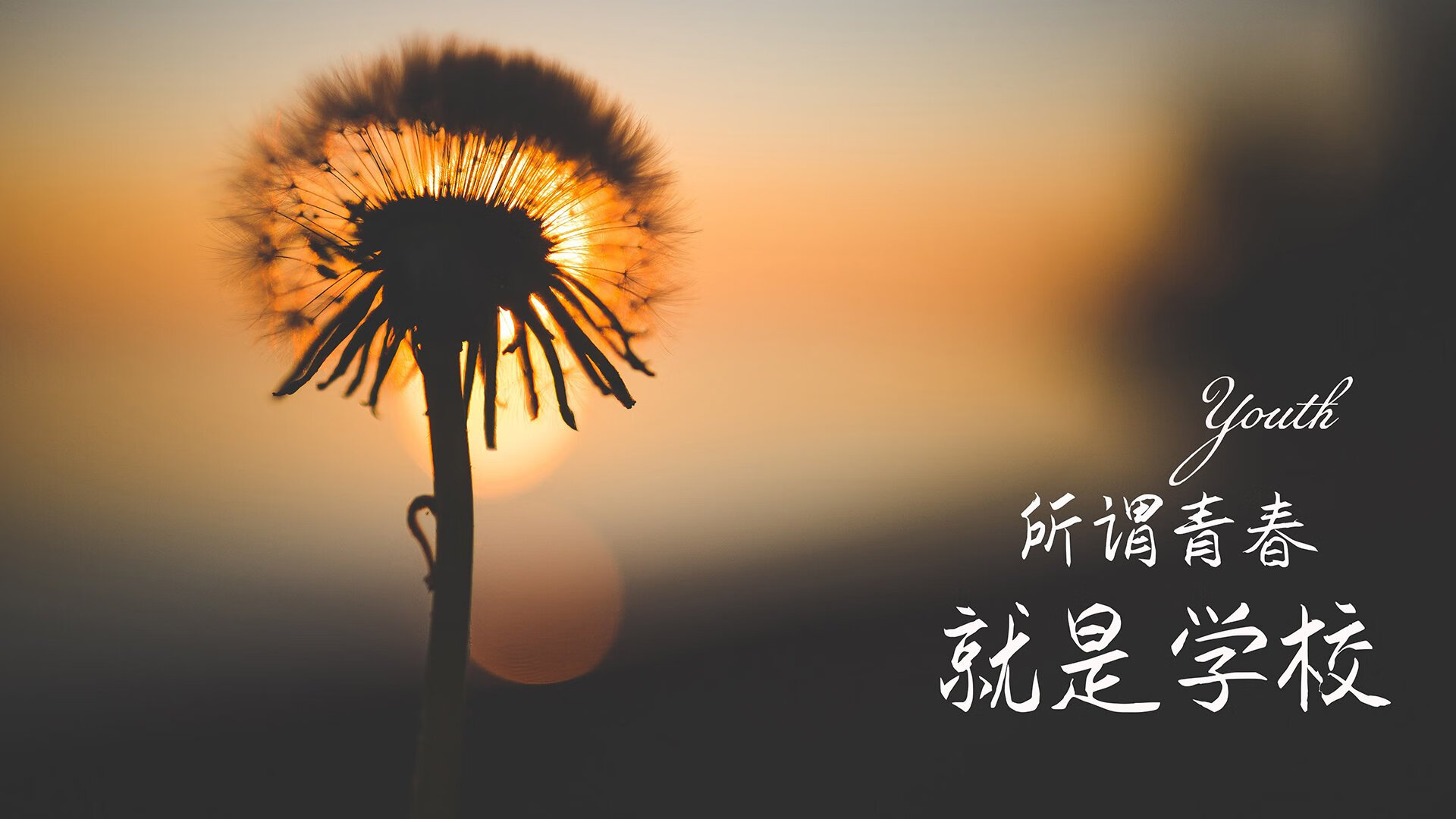 一瞬定乾坤,2026世界杯E组生死战,京多安致命一击送葡萄牙力克加纳